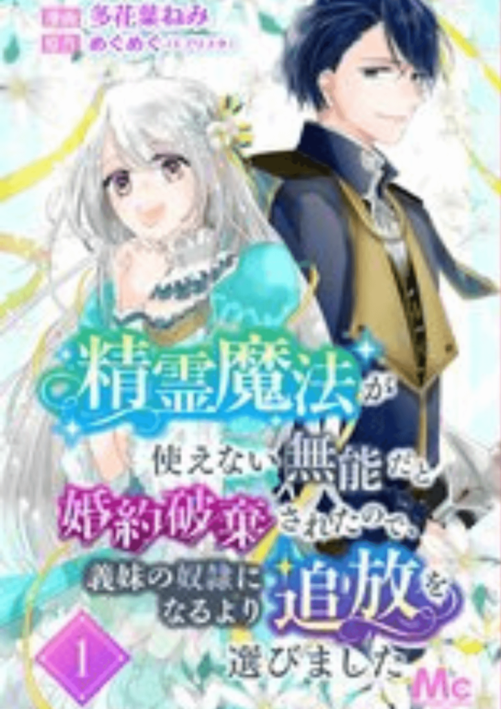 精霊魔法が使えない無能だと婚約破棄されたので、義妹の奴隷になるより追放を選びました