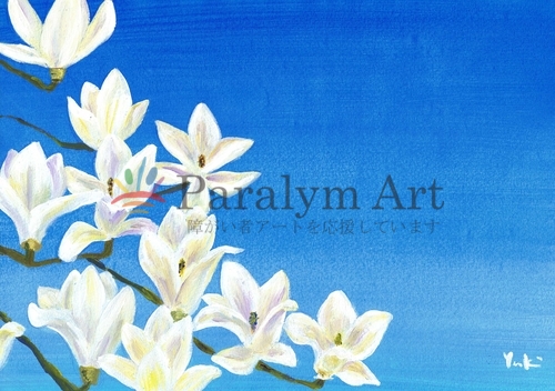 木蓮の花　