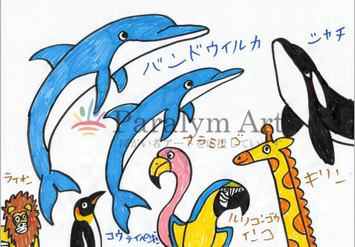 animals