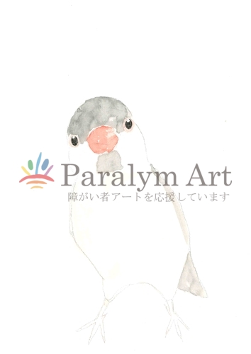 文鳥のぶんちゃん