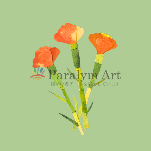 カーネーション