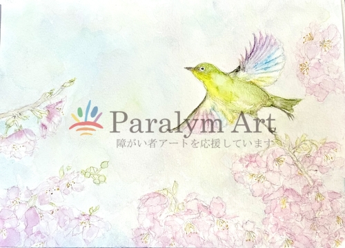 春、イロメク