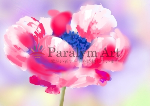 アネモネの花～赤白～