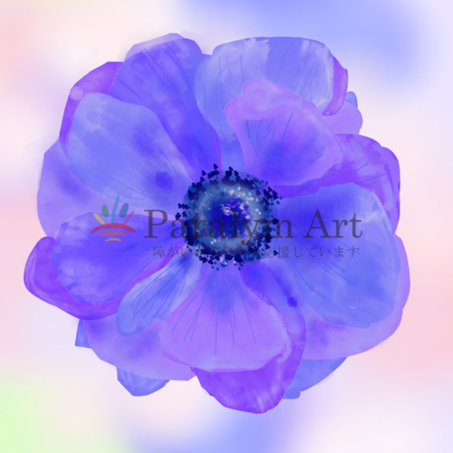 アネモネの花～青～