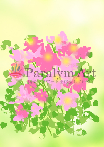マーガレットの花