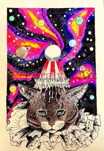 宇宙猫