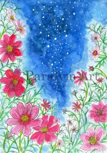 コスモスと夜空　